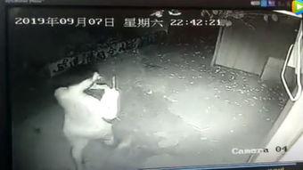 爆料变态偷东西视频